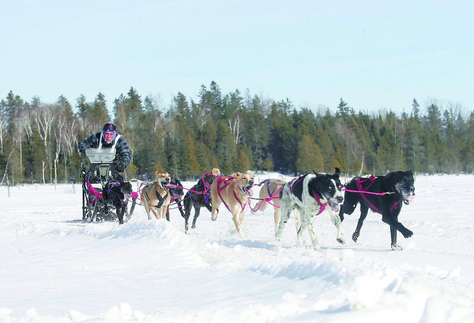 Holiday Inn Express And Suites Timmins By Ihg Экстерьер фото